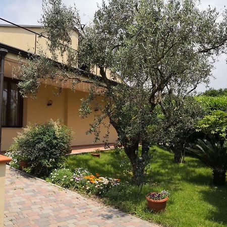 B&B D'Avino 帕加尼 外观 照片