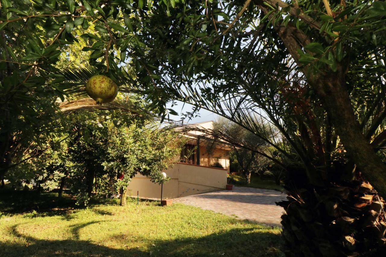 B&B D'Avino 帕加尼 外观 照片