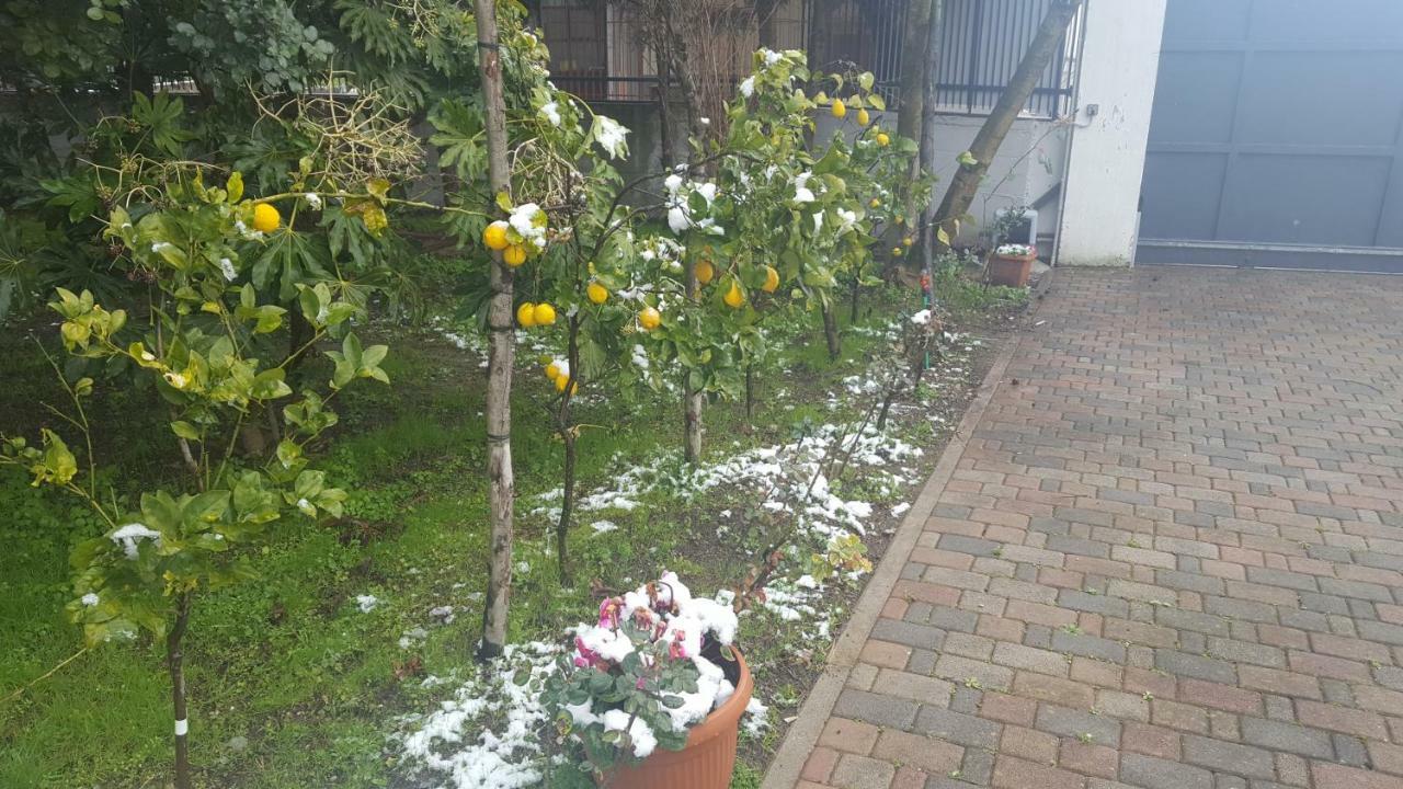 B&B D'Avino 帕加尼 外观 照片