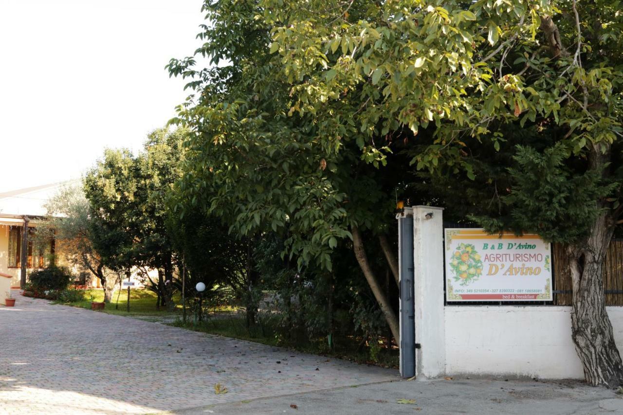 B&B D'Avino 帕加尼 外观 照片